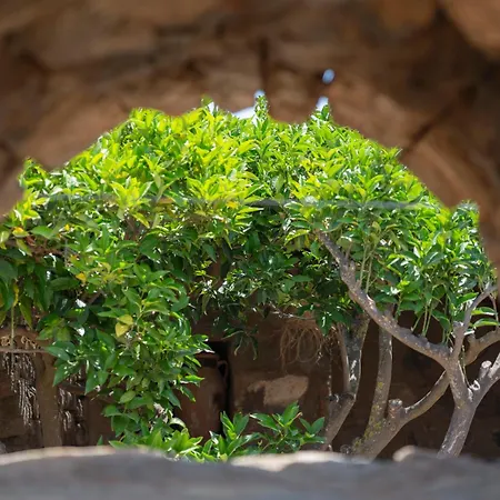 Dammusi Rekale * Scauri (Sicily)